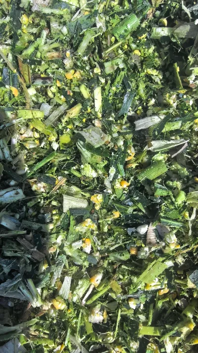 বিশ্বব্যাপী তাজা-উৎপাদন সঞ্চয়স্থান এবং পরিবহনে ঘন ঘন চ্যালেঞ্জের মধ্যে, আমরা কীভাবে ইমান কৃষি থেকে গোলাকার বাঁধাকপির শেষ থেকে শেষ তাজা গুণমান বজায় রাখতে পারি?
