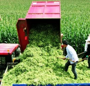 আফ্রিকা এবং মধ্যপ্রাচ্যে শুষ্ক-মৌসুমের পশুসম্পদ খামারের জন্য কোন ফিড সলিউশন কাজ করে?