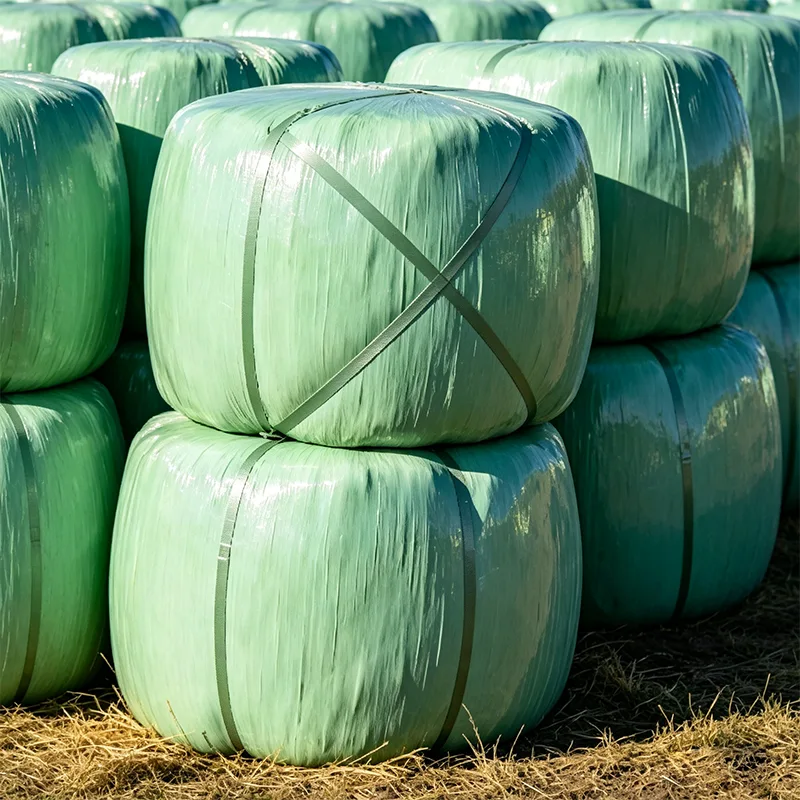 UV সুরক্ষিত বেলড কর্ন সাইলেজ